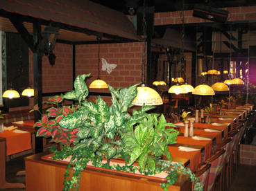 Restaurant Steak & Schnitzelhaus Butterfly Duderstadt